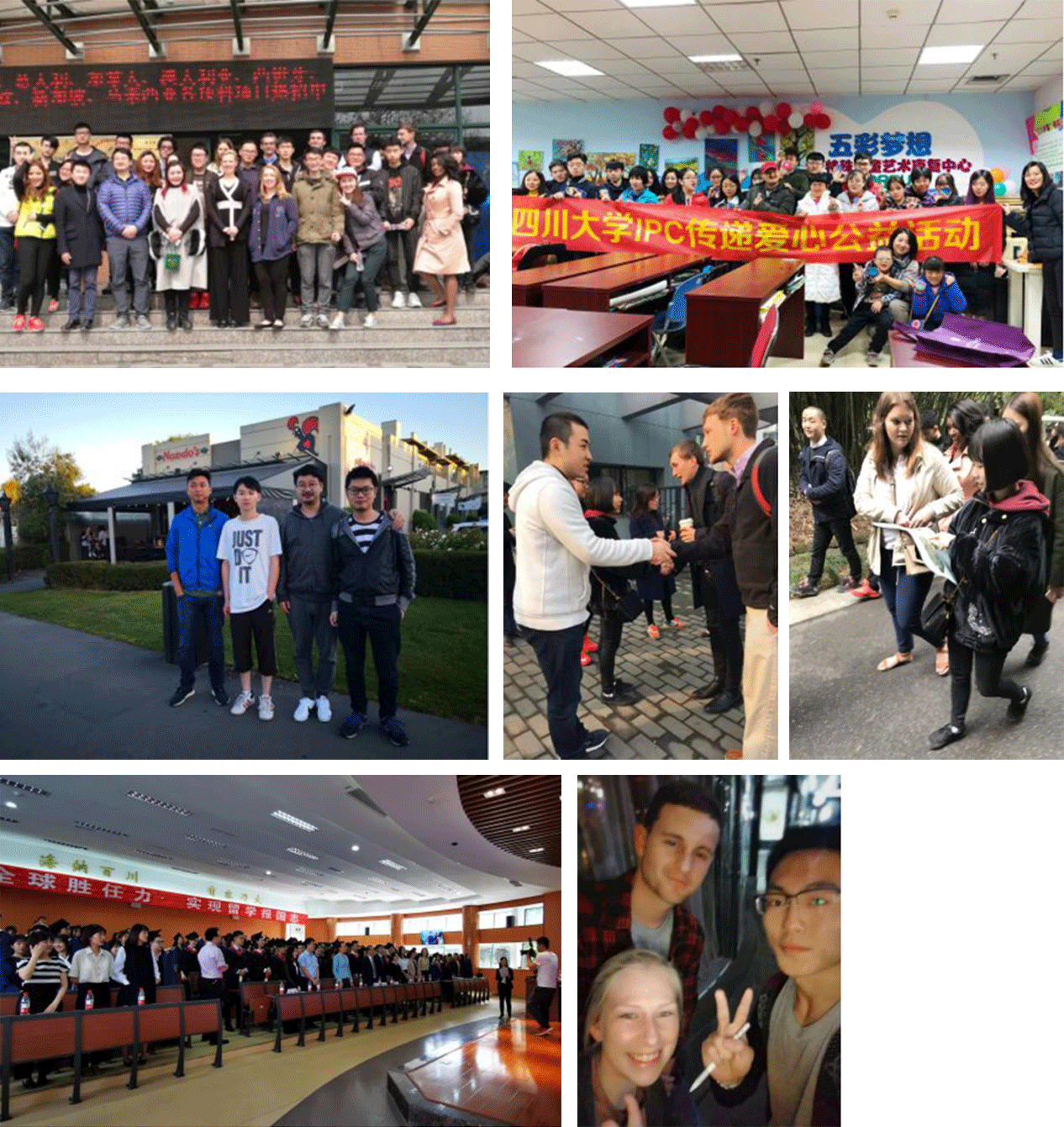 syjxImg_03.png